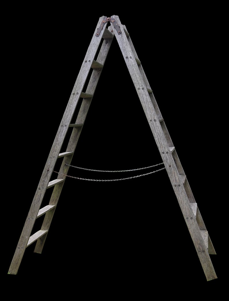 Ladder Plant Stand